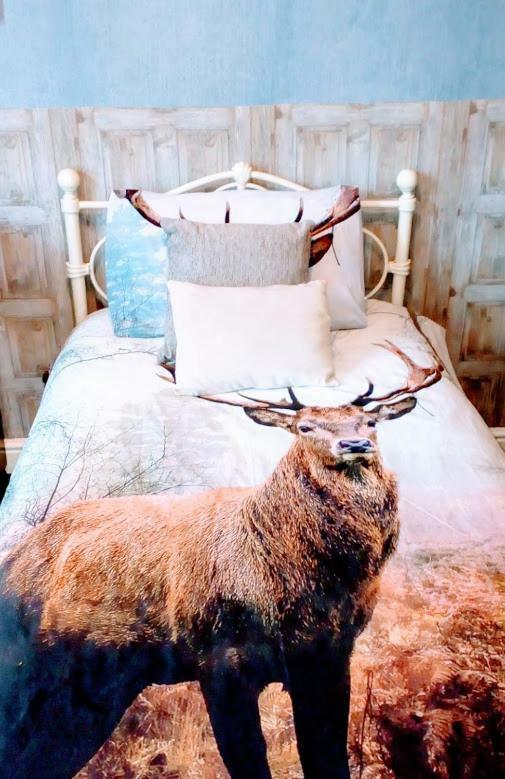 East Midlands Guesthouse 더비 외부 사진